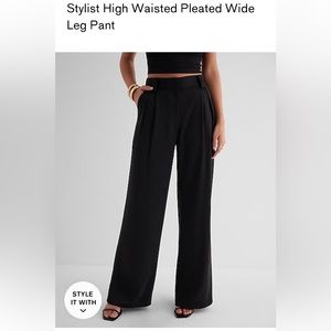 Express Stylist High Waisted Pleated Wide Leg Pant